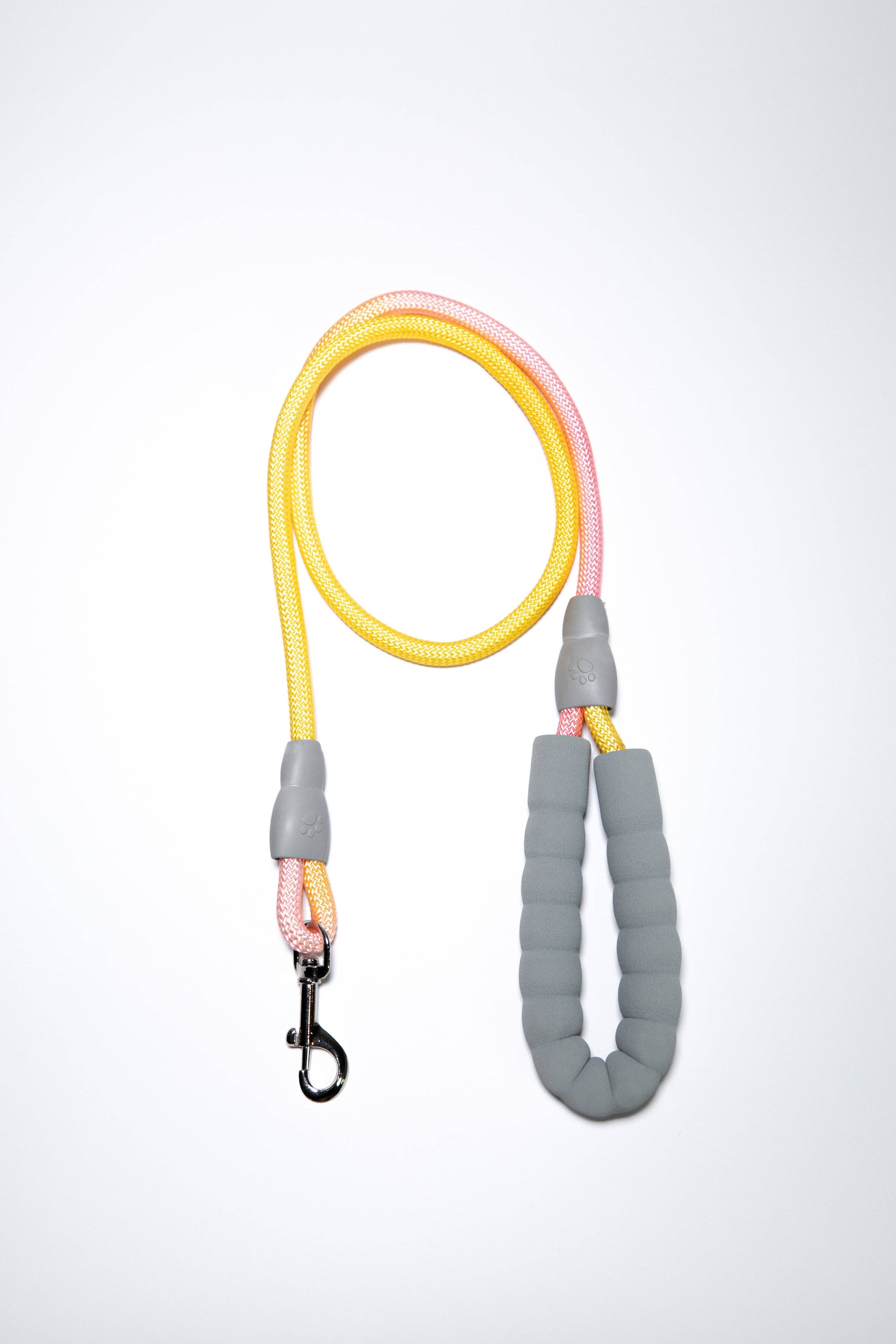 Mochaaaa – Engroshandel Hundesnor - Hund – Gradient farvet hundesnor med polstret håndtag8