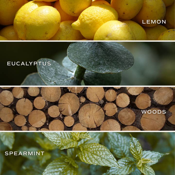 Sweet Water Decor - Wholesale Bath Bomb/Fizz - Stress Relief 4.6 oz Bath Bomb4