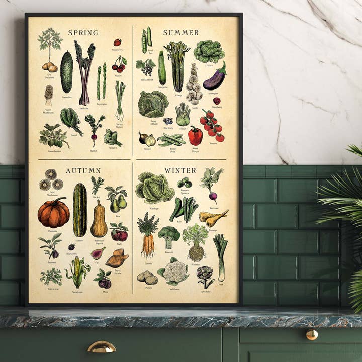 Seasonal Fruit and Vegetable print, Botanical art for wholesale by Hannah Turpin Designs