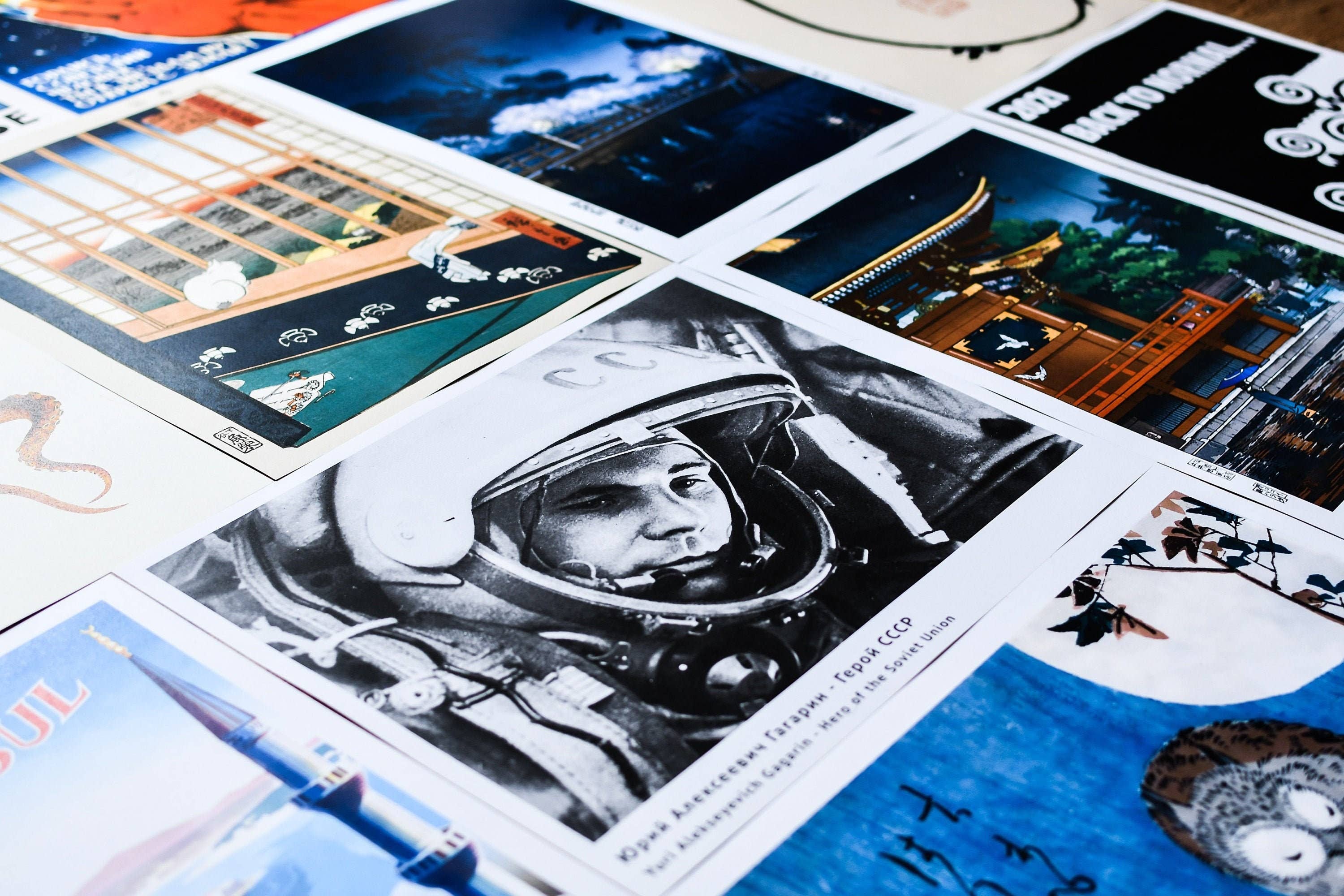 Vintage Wall Graphics - Wholesale Poster - Décor de Cuisine Cactus - Cadeau d'Anniversaire Botanique Médical4