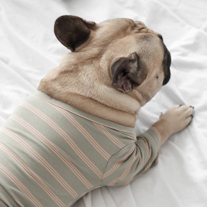 Lambwolf Collective - Wholesale Pet Shirt - Dog - CHELSEA // Dog Apparel// Dog Tee