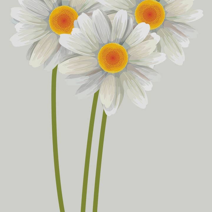 Daisy mærkater for engroshandel hos Cover-Alls Decals