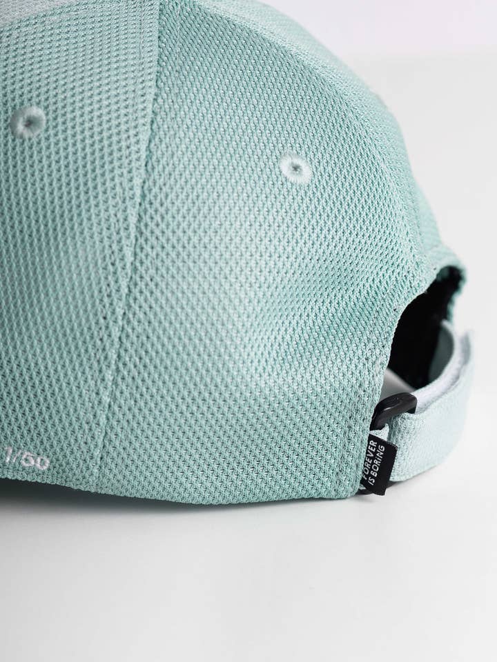 FIB MINT MESH CAP for wholesale by Forever is Boring
