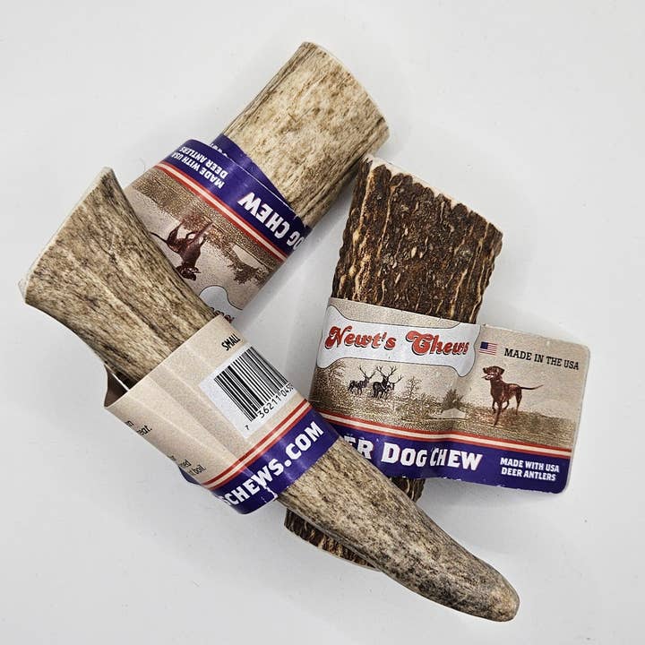 Small Whole Antler Labled for wholesale by Blue's Colorado