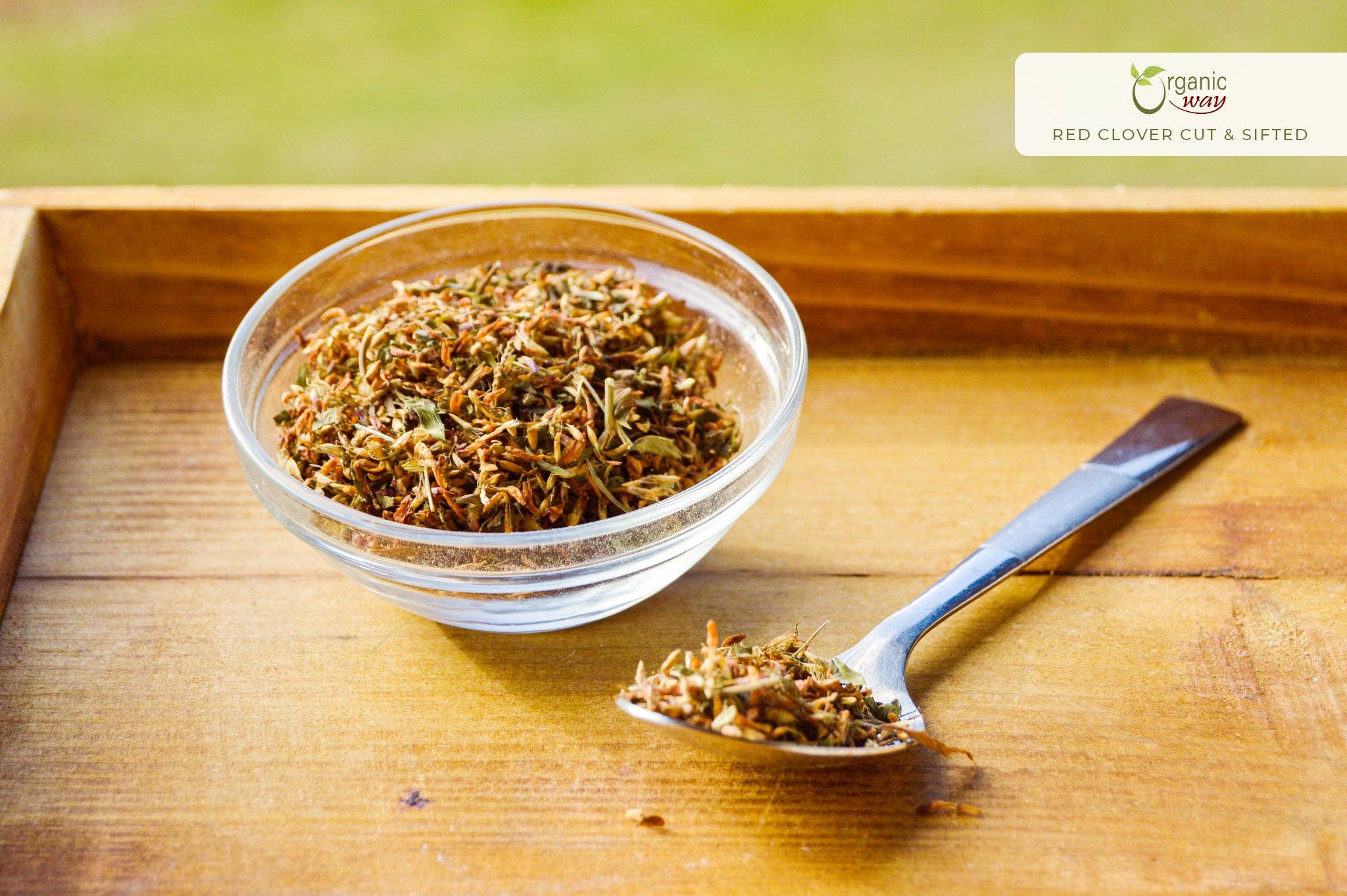 Organic Way LLC - Vendita all'ingrosso Erbe aromatiche - Fiori di Trifoglio Rosso Tagliati e Setacciati (Trifolium Pratense) Tisana | Raccolta Selvatica Europea | Certificato Kosher | Certificato USDA | Origine - Albania1