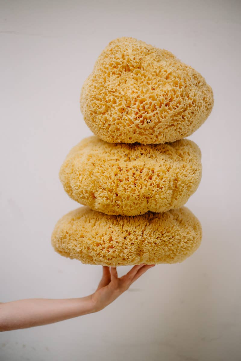 Croll & Denecke - Wholesale Bath Pouf/Sponge - Sustainable natural sponge from the sea Boho bath wellness spa3