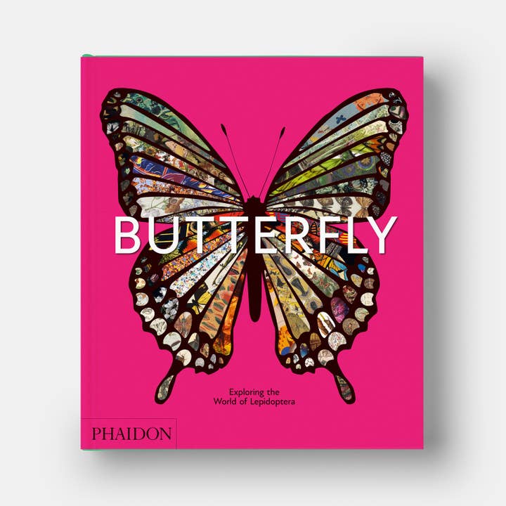 Phaidon - Wholesale Nature & Outdoors - Butterfly: Exploring the World of Lepidoptera1