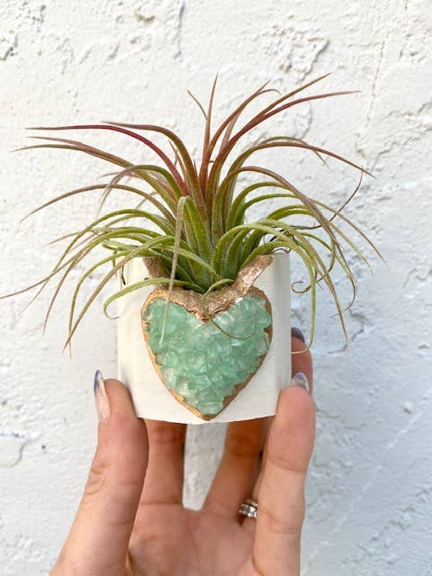 Plant One On Me Designs – Engroshandel Plantekrukke – Hvid hjerte geode plantekrukke med luftplante - Valentinsdag2