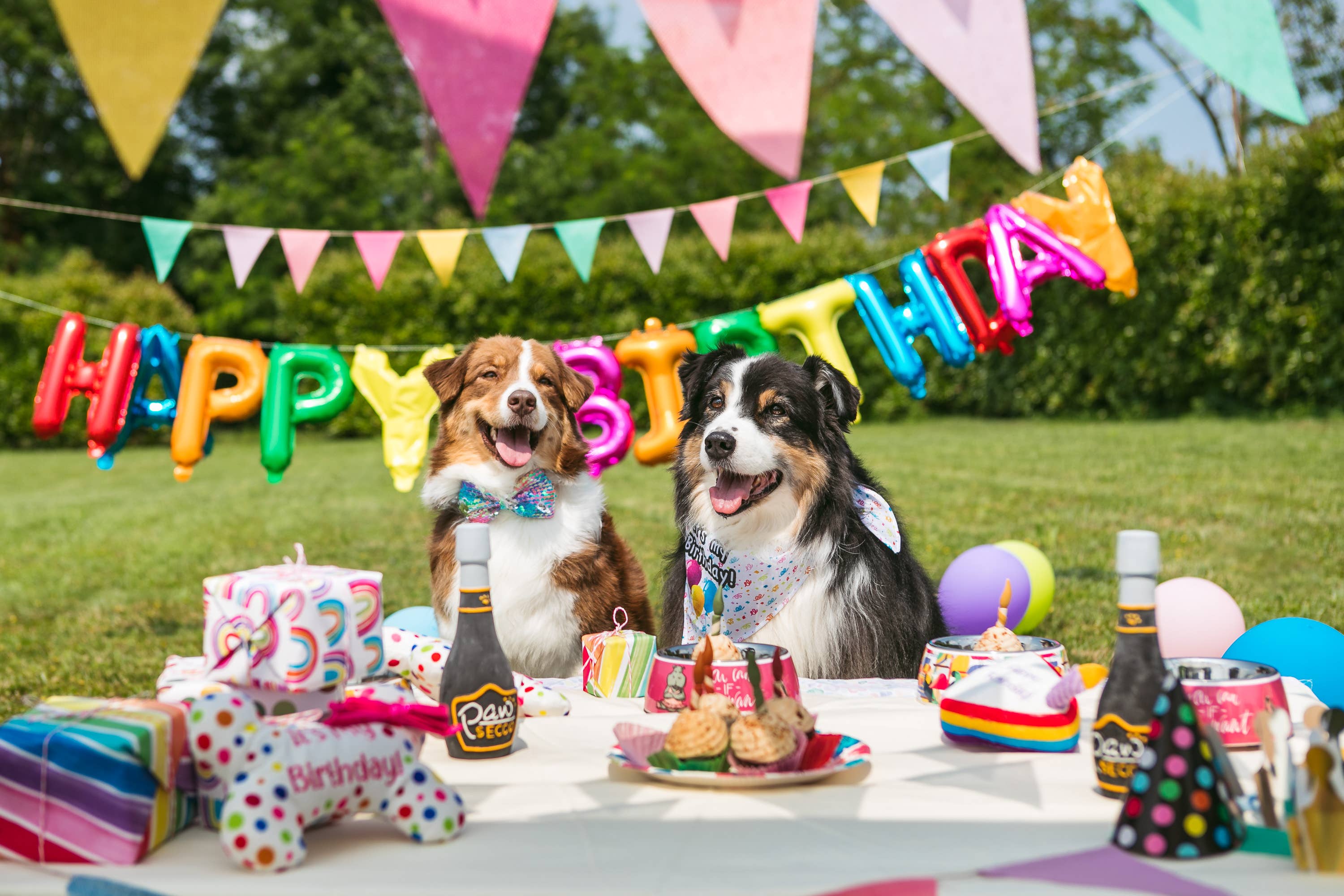 Croci – wholesale Mjukisdjur - Hund – Mjukt hunddjur – Party Bone med prickar2