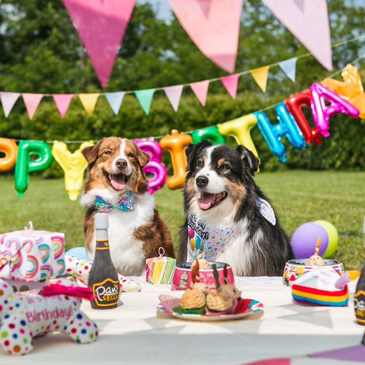 Croci - Wholesale Pet Treats - Dog - Dog snack - Party Candles 4pcs - Crosses1