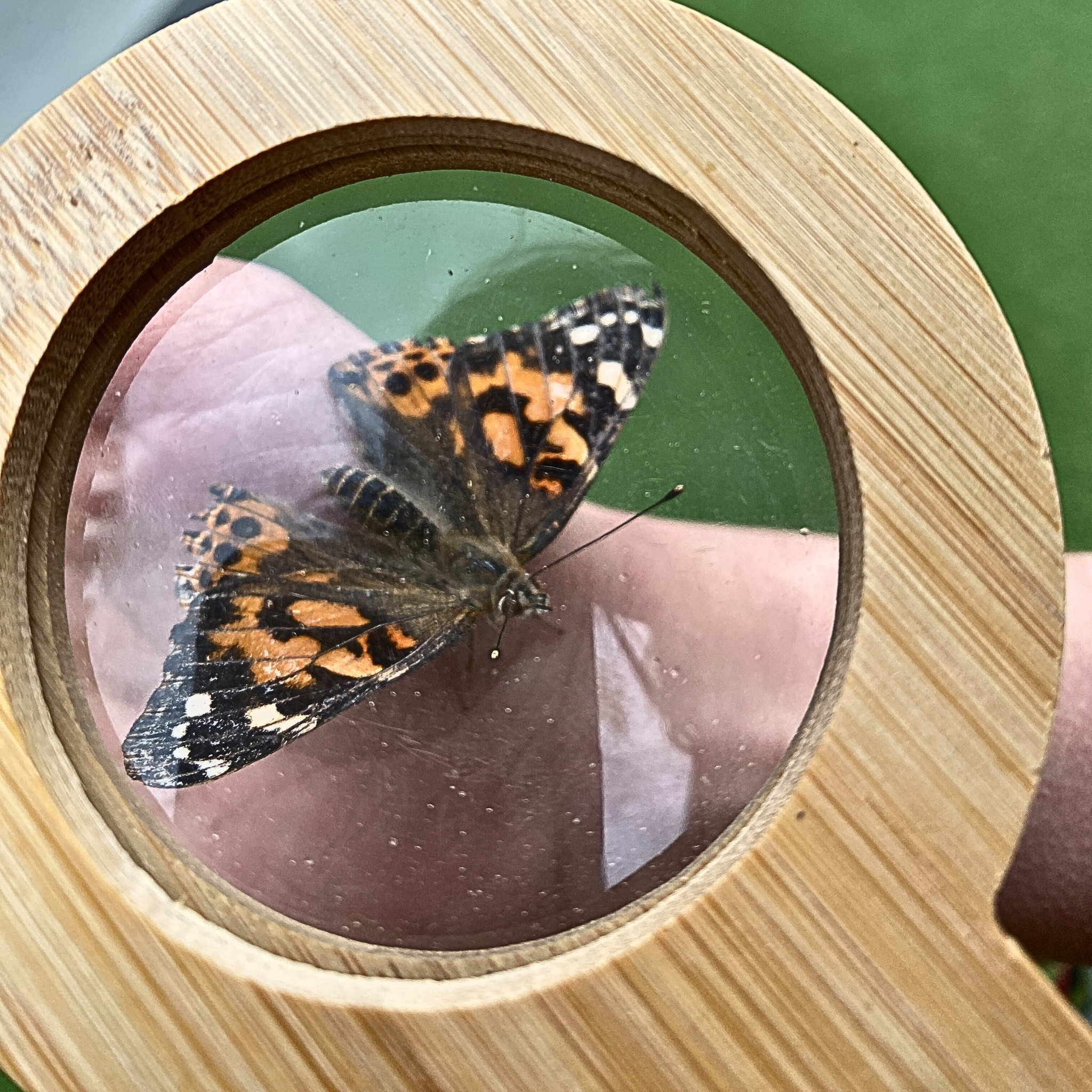 Wild Life Outdoor Adventures - Vente Loupe - Loupe EYE SPY Eco-Bamboo 5x6