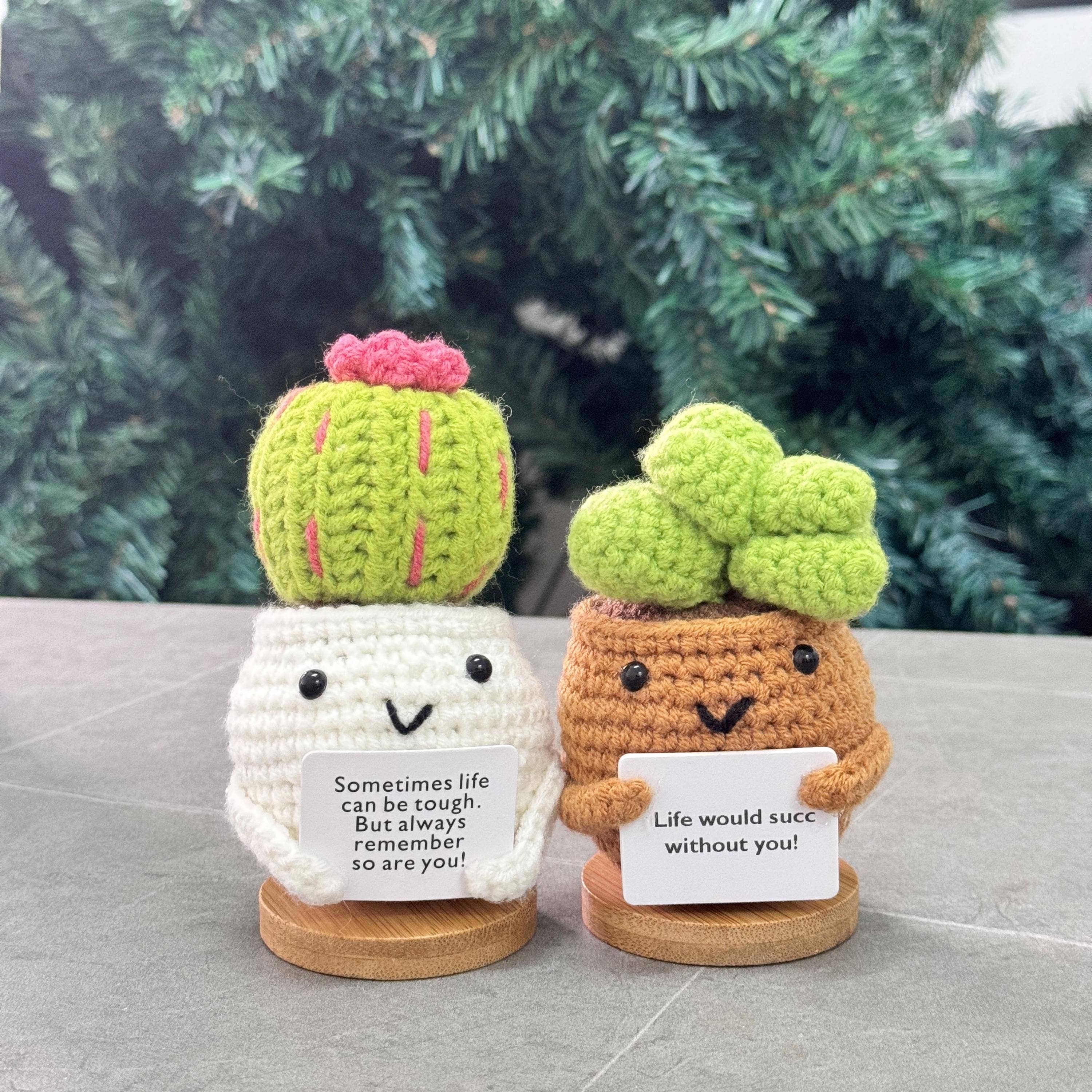 Anh2 LTD - Wholesale Decorative Tabletop Object - Crochet Succulent Cactus Plant, Life Would Succ Without You2