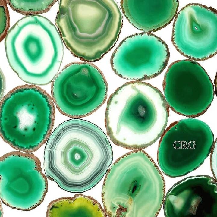 Green Agate Slice Size #2 (3 To 3.5 Inches) (1 Piece) for wholesale by Crystal River Gems LLC