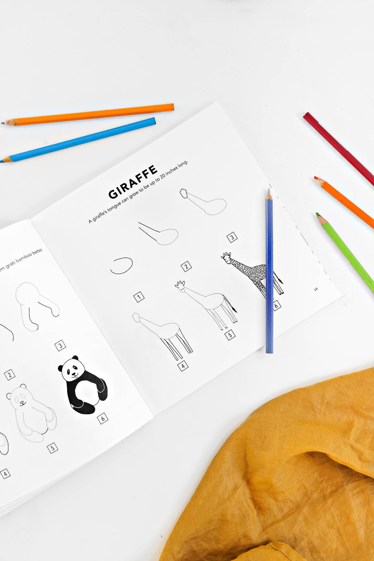 Paige Tate & Co. - Wholesale Preschool Book (3-5) - All The Animals: A How to Draw Art Book for Kids3