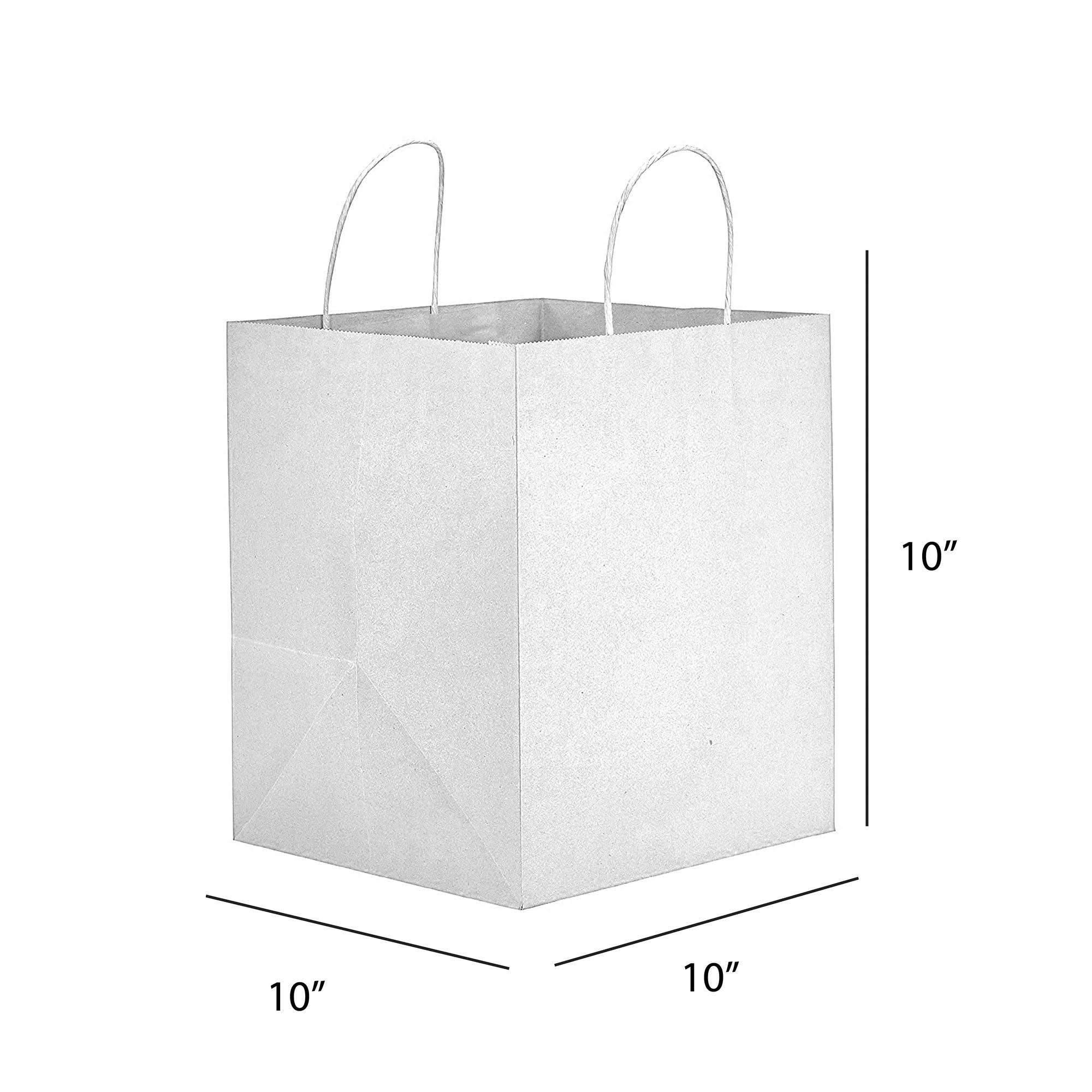 PTP BAGS - Wholesale Gift Bag - Kraft Paper Bags - Small and Medium Sizes (24 Styles)17