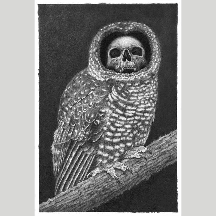 Strangely Rose - Wholesale Art Print - In the Darkest Hour- art print of owl1