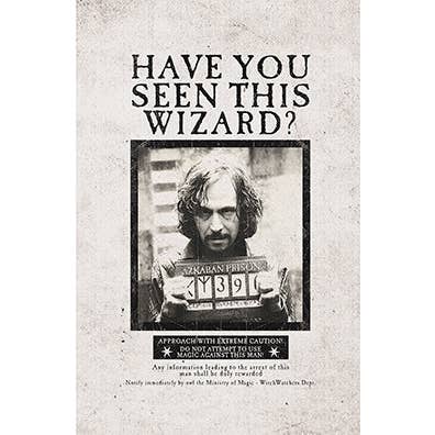 Insight Editions - #1 Pop Culture Publisher - Wholesale Notebook - Harry Potter: Wanted Posters Pocket Notebook Collection (Set of 3)1