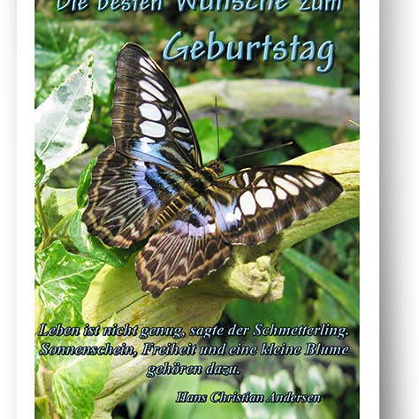 Verjaardag/Wenskaart/Dieren/Vlinders/519257 voor wholesale door Yabué