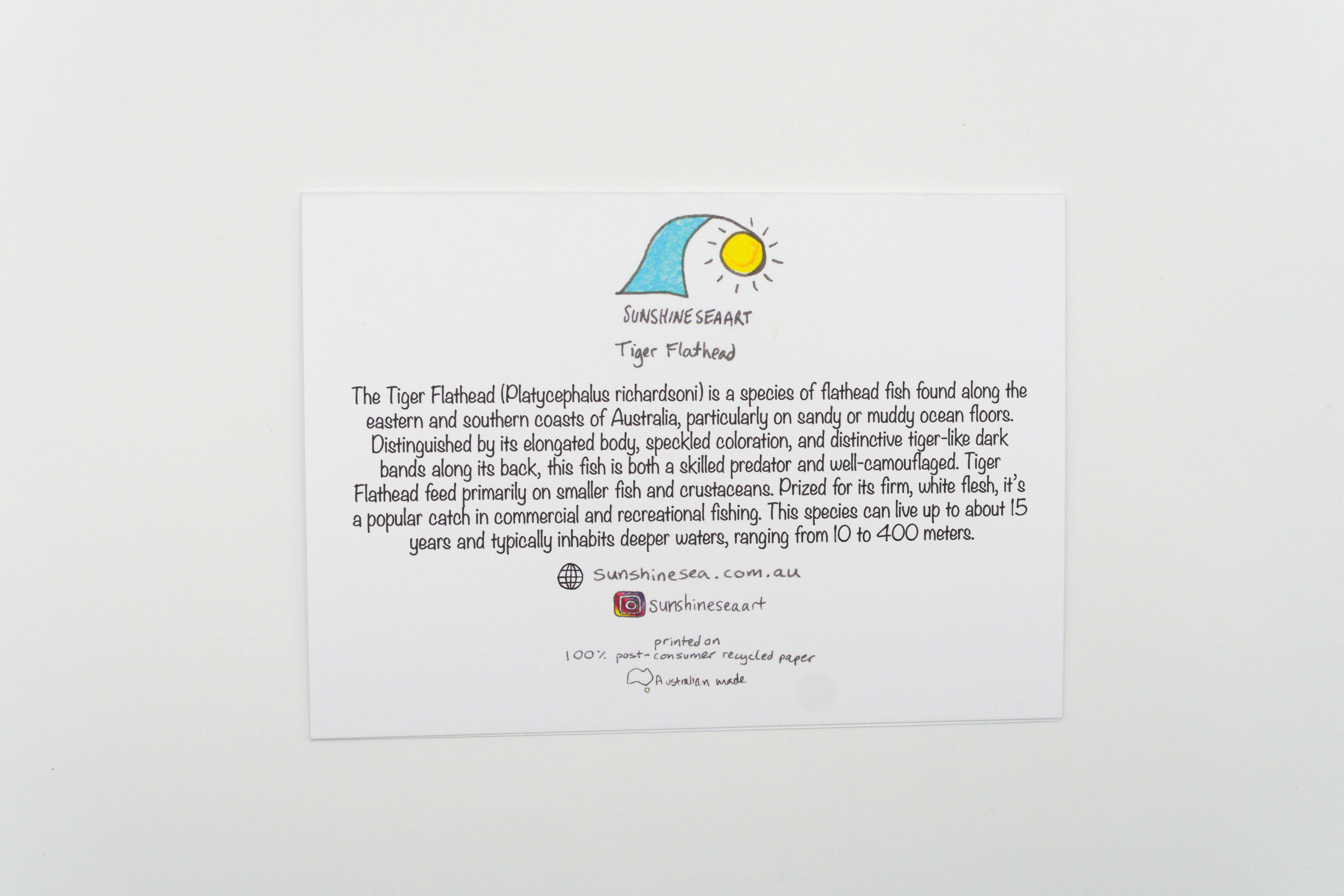 Sunshine Sea Art - Wholesale Birthday Card - Flathead Fish Greeting Card Australian Native Birthday Card1