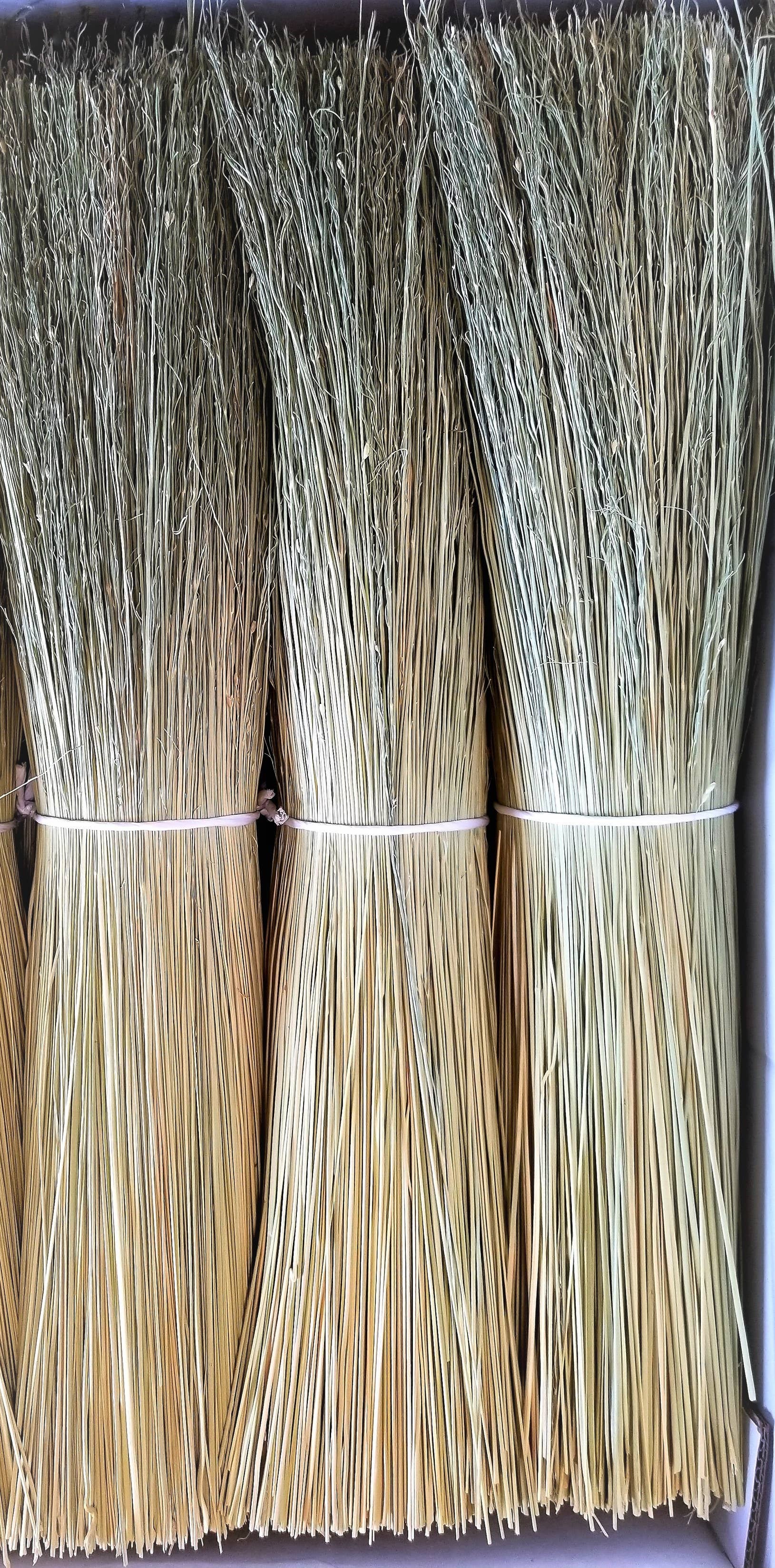 Parker Homestead - Wholesale Craft Supplies - Broom Corn3