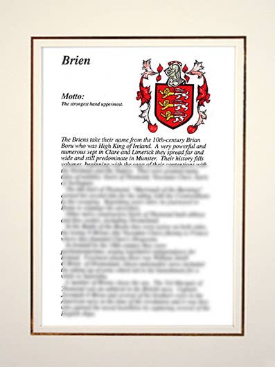 Brien por atacado de Family Histories