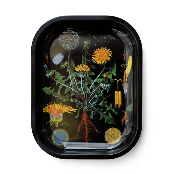 Small Metal Botanical Dandelion Trinket Tray for wholesale by Curious Prints