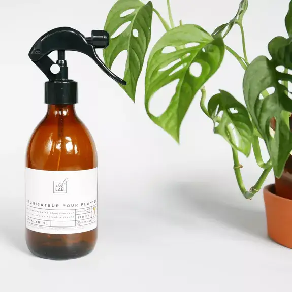 Steklab - Wholesale Plant Mister - Plant Shower Large | French language | 500ml2