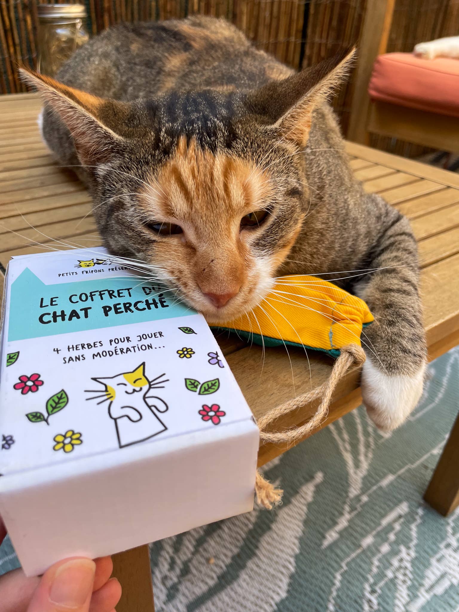 Petits Fripons - Wholesale Pet Toy - Cat - Cat herb discovery set6