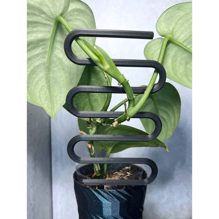Floraform Creations - Wholesale Trellis - Plant Ladder for Small Houseplants5