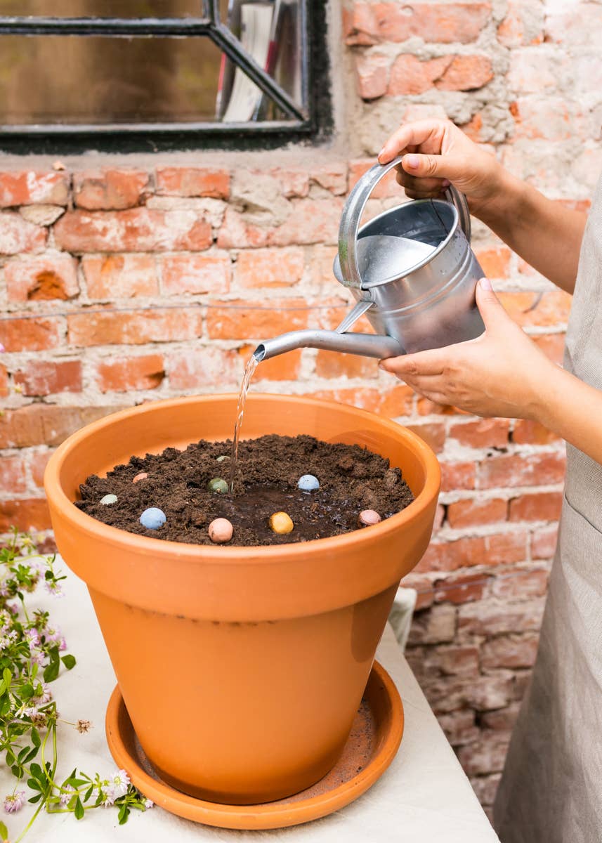 Blossombs - Wholesale Plant Seeds - Grow Kit “Flowers” – Pot Flowers Mix (1 Seed Bomb)4