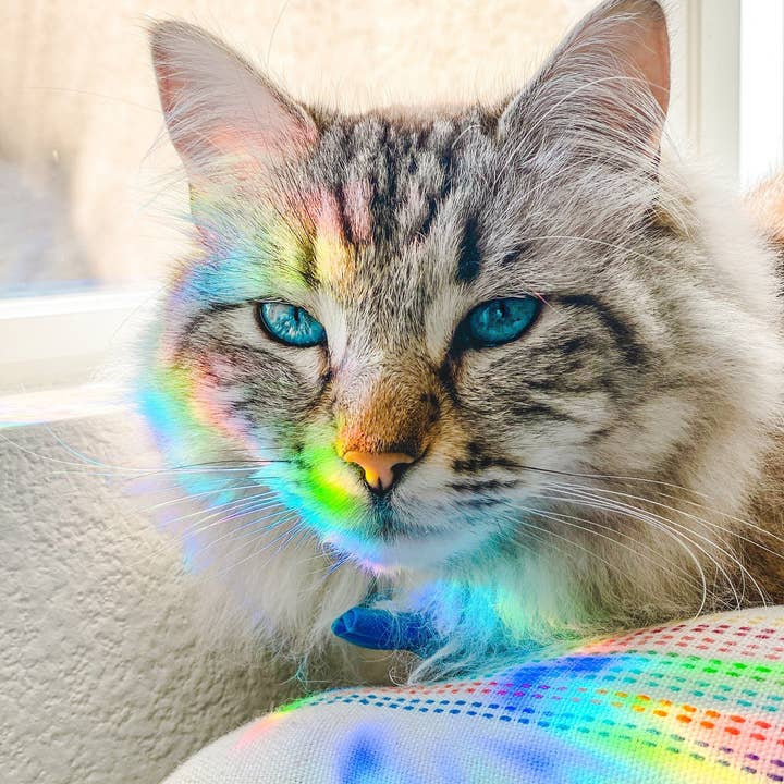 Sunbeam Shop Co - Wholesale Suncatcher - Valkyrie Book Club Suncatcher Sticker1