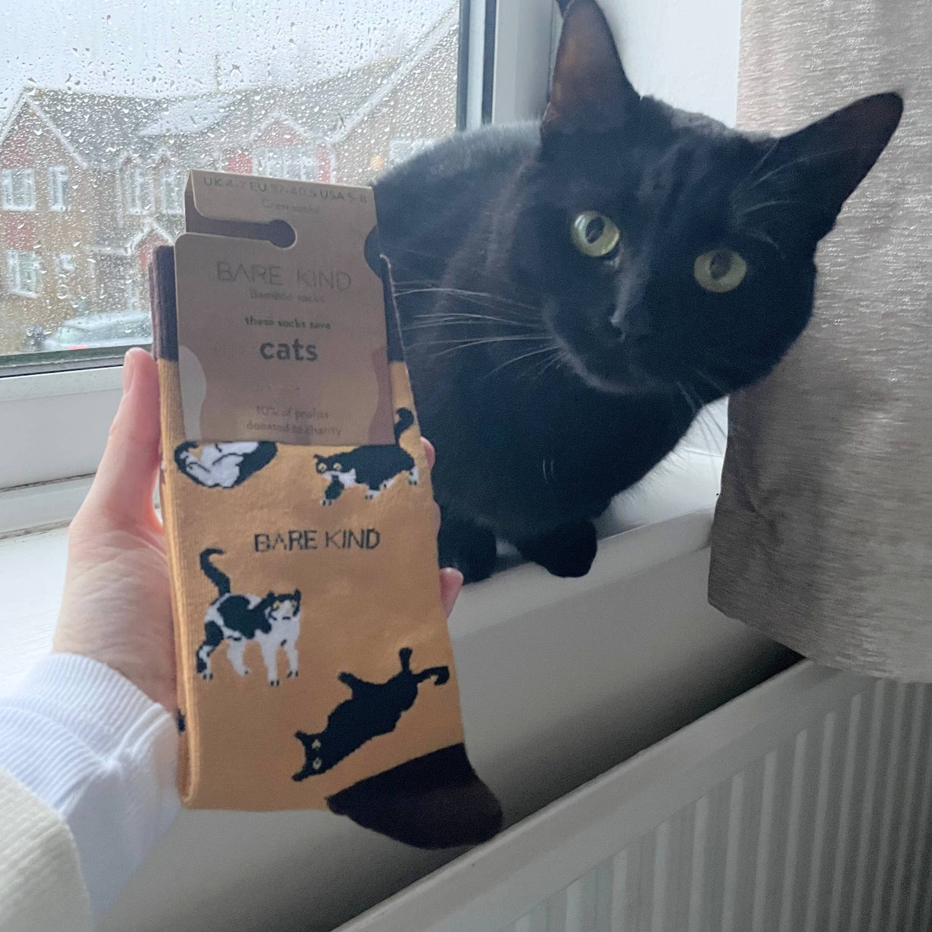 Bare Kind Socks - Vente Chaussettes – unisexe - Chaussettes marron avec motifs de chats | Chaussettes en bambou | Chaussettes marron8