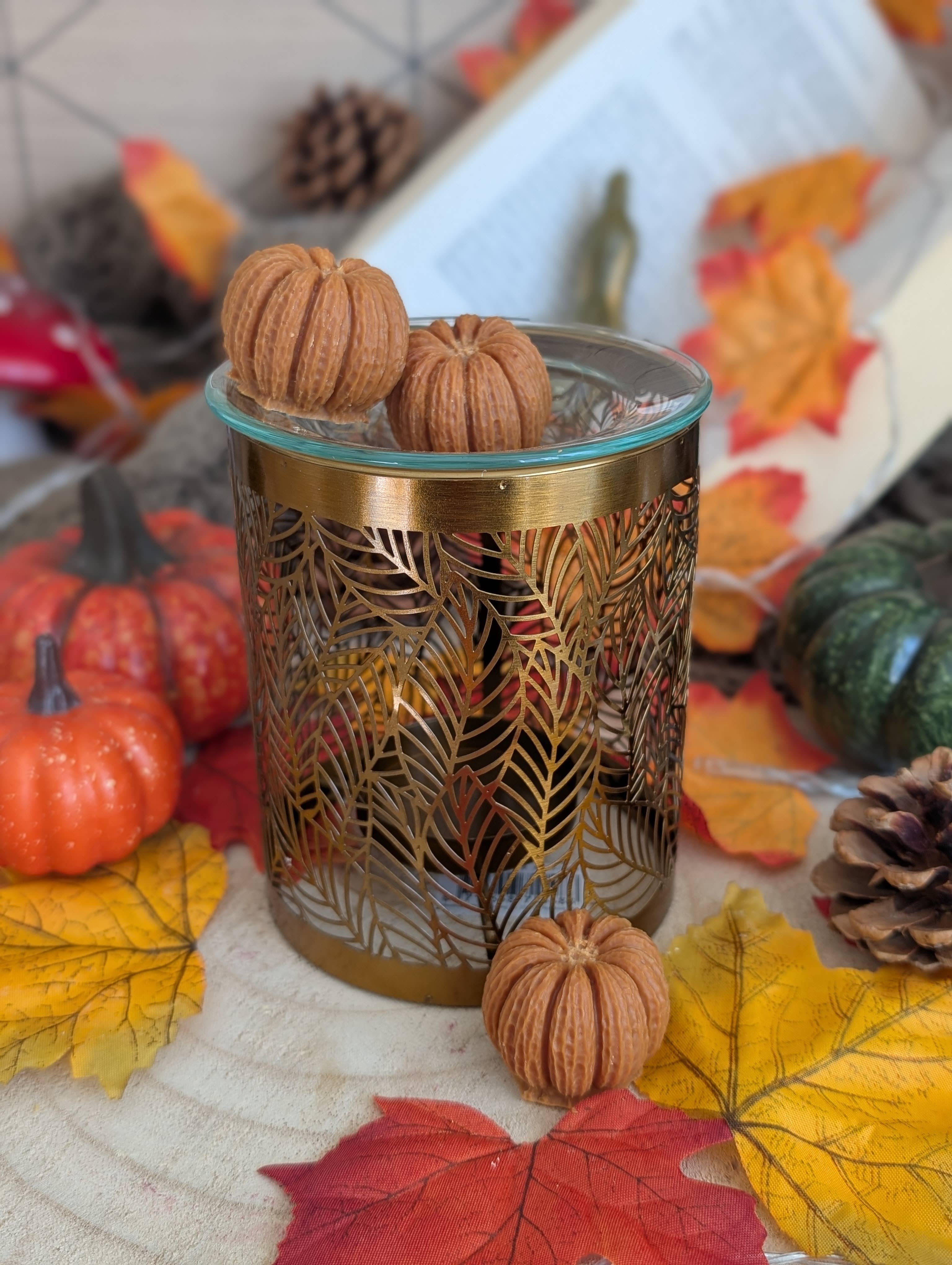 Les bougies Burgondes - Wholesale Wax Melt - Pumpkin fondant0