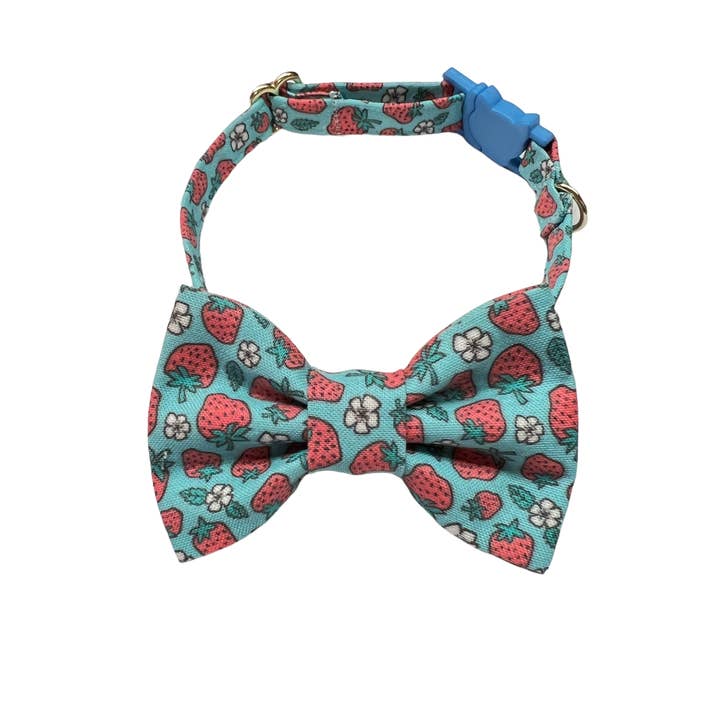 Whiskers Crafts - Wholesale Pet Bow Tie - Cat - Cat Bow Tie and Collar Set - Blue Strawberry2