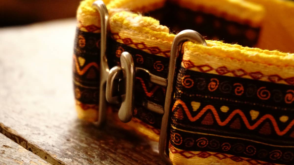 hundsfutter - Vente Collier – chien - Collier large jaune pour chiens7