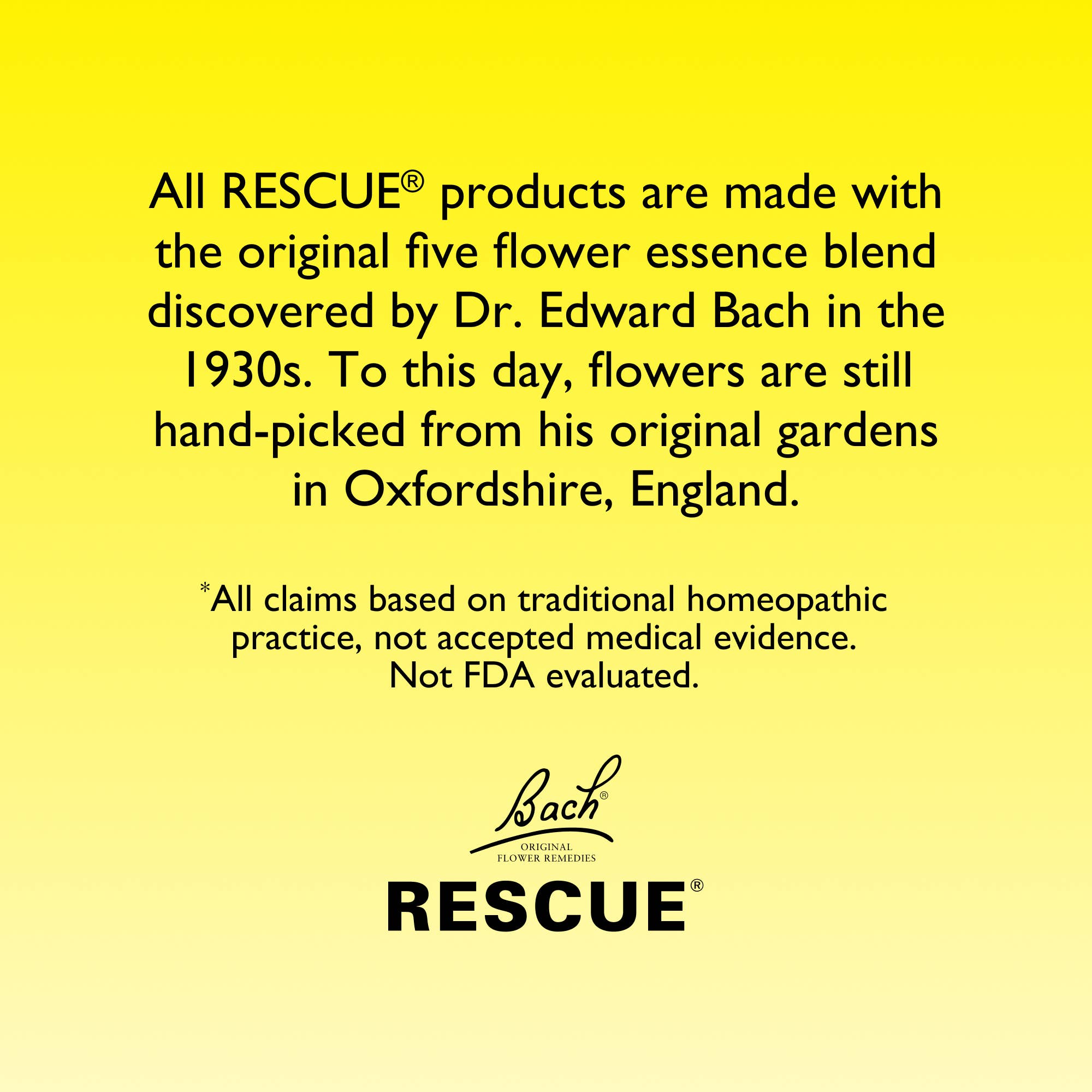 RESCUE & Bach Original Flower Remedies - Wholesale Oral Supplement/Vitamin - RESCUE REMEDY® Dropper, Chocolate & Peppermint Glycerin 20mL6