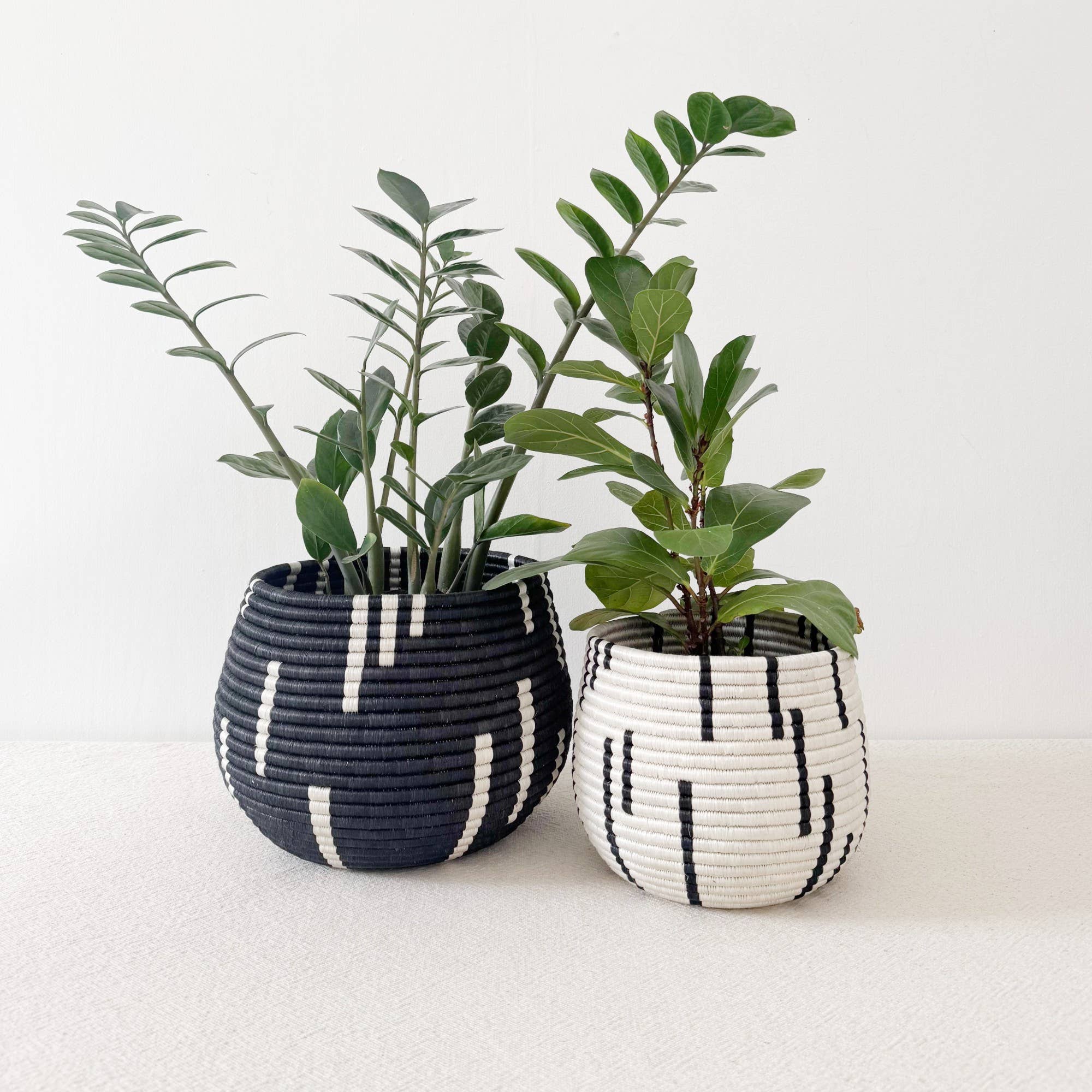 Amsha - Wholesale Plant Pot - Honey Pot Basket: Mugano3