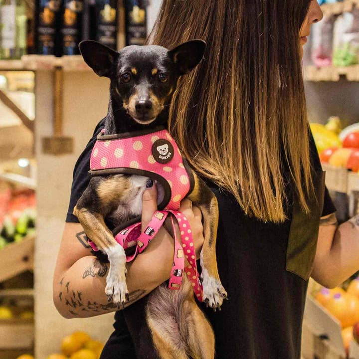 Dukier - Wholesale Pet Leash - Dog - DOGTELLA DOG LEASH2