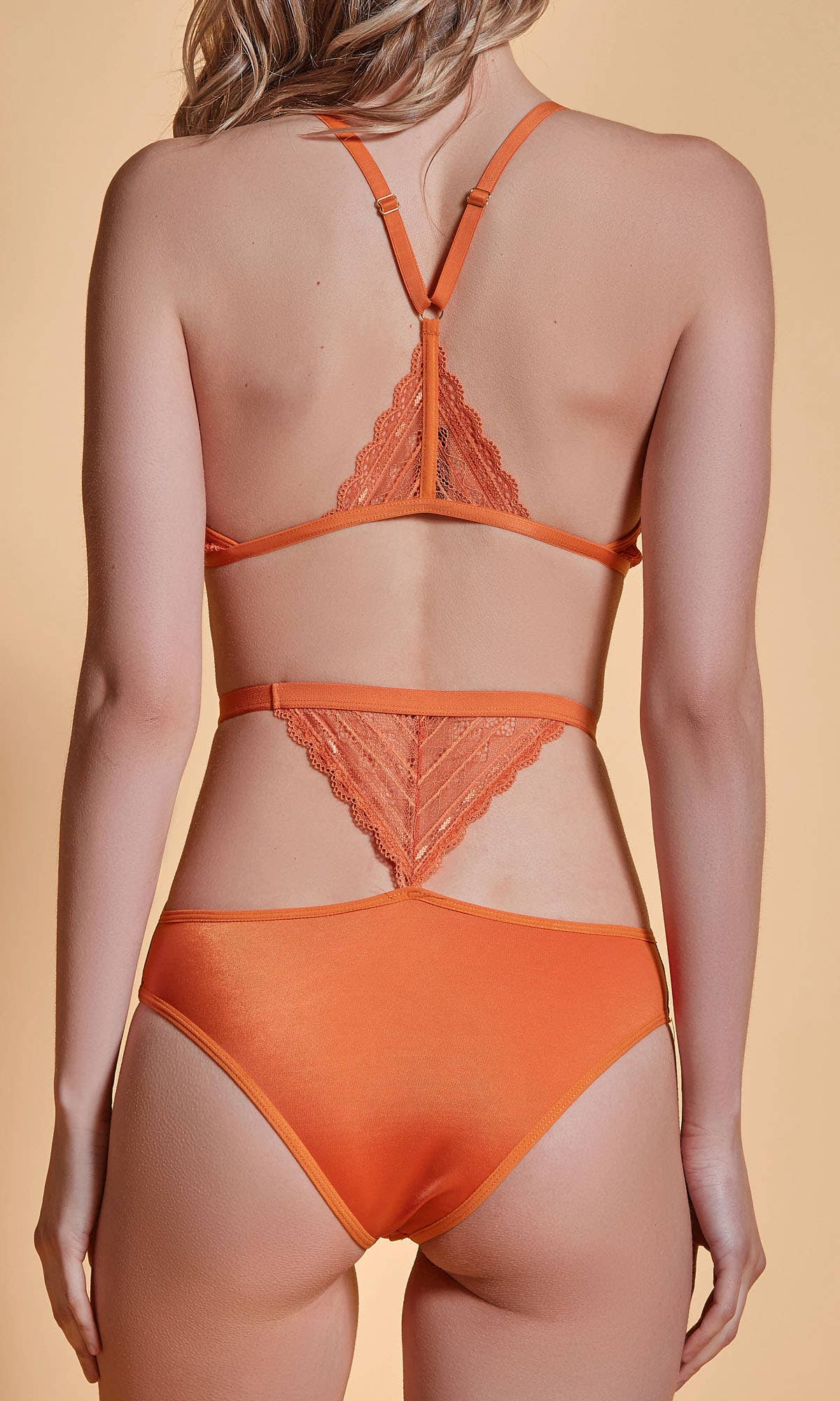 Orange Gisel High Waist Lace & Microfiber Panty for wholesale on Faire3