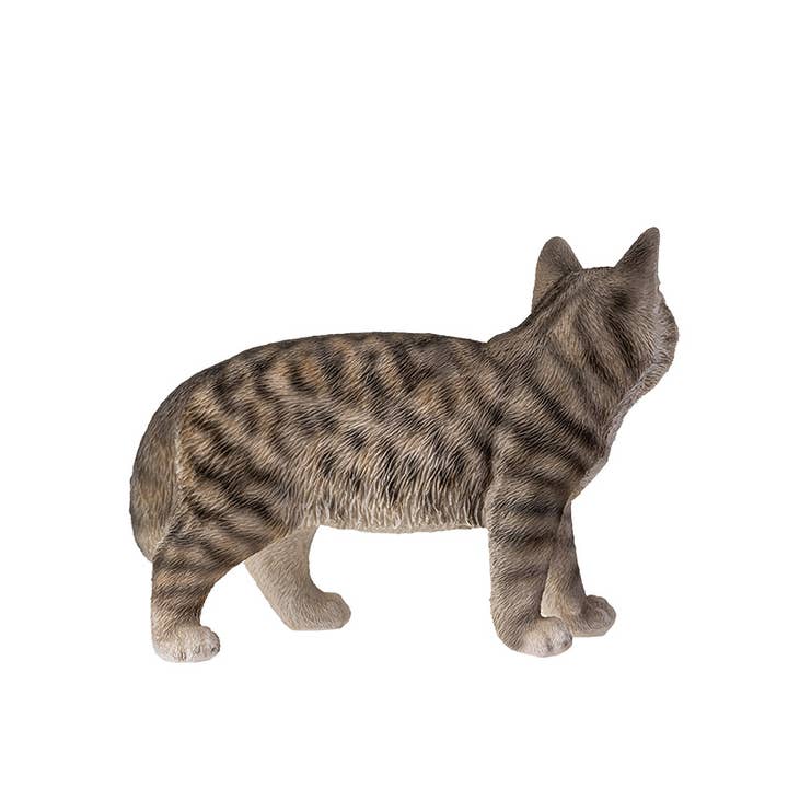 Pacific Trading - Venta al por mayor Figura decorativa - 15431 Gato Tabby Gris C/4