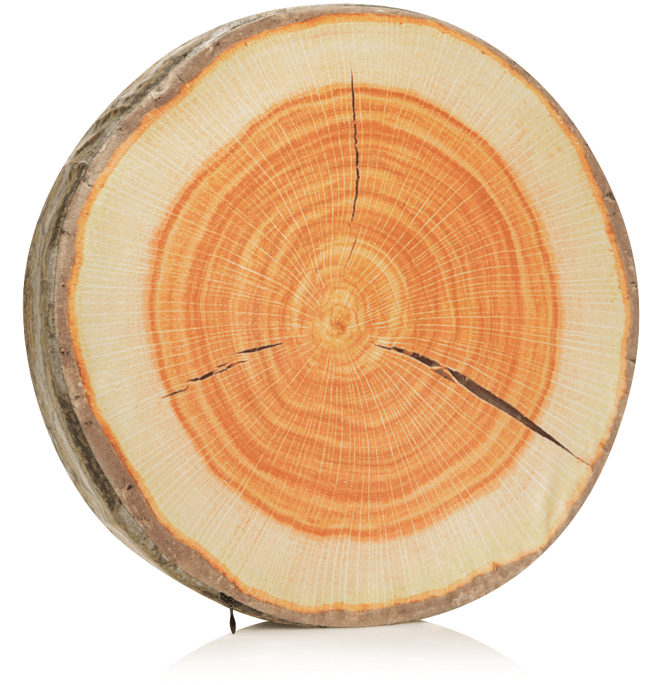 Husband Pillow - Vendita all'ingrosso Cuscini per letto - 360 - FETTA-REGISTRO-MAPL11