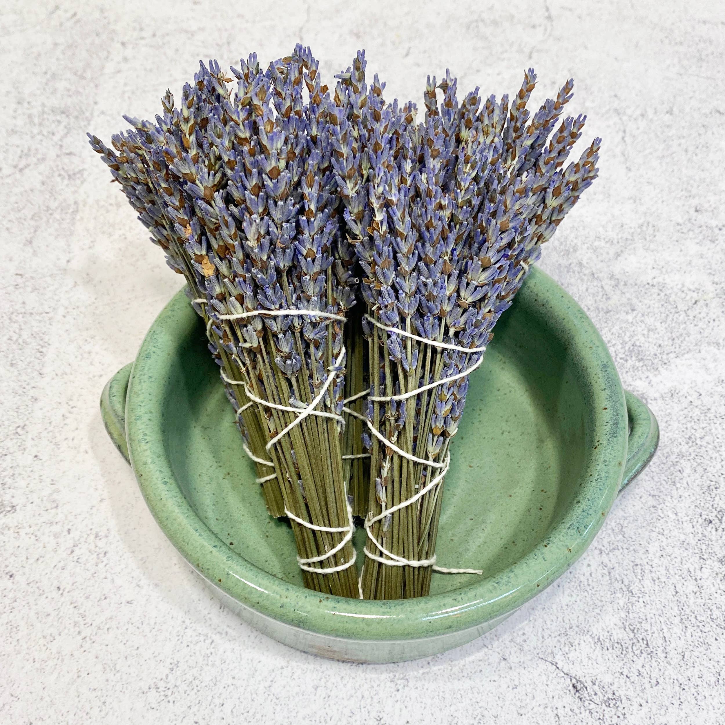 Oakwind Hollow - Venta al por mayor Salvia - Paquete Lavender Smudge1