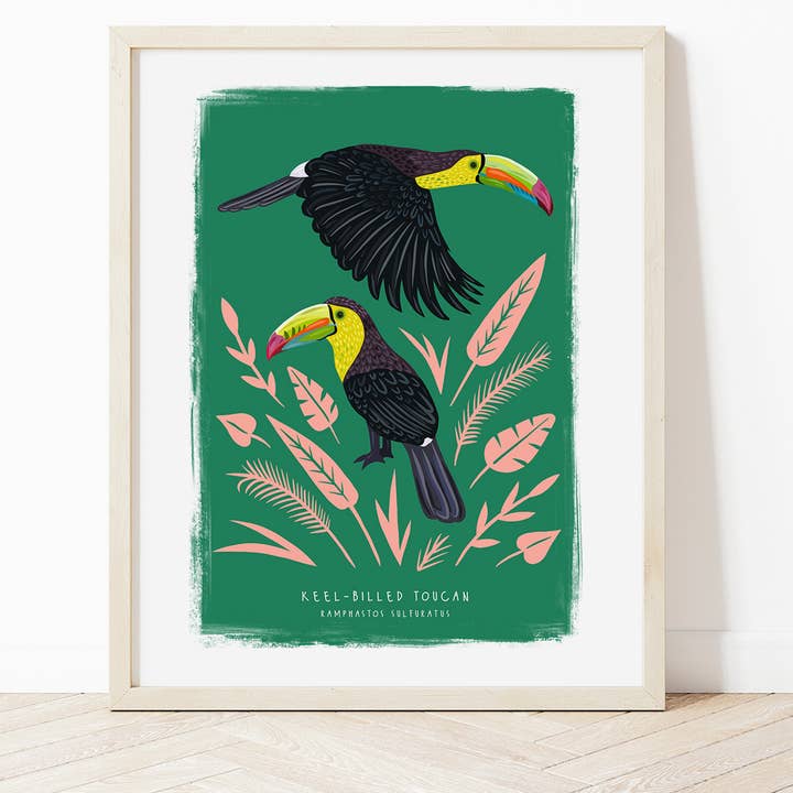 Keel Billed Toucan Print for wholesale by Bea Baranowska Illustration