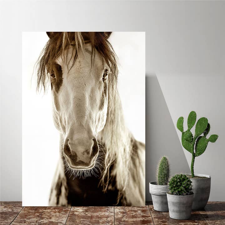 Courtside Market – wholesale Art print – Pride Gallery - Wrapped Canvas Wall Art