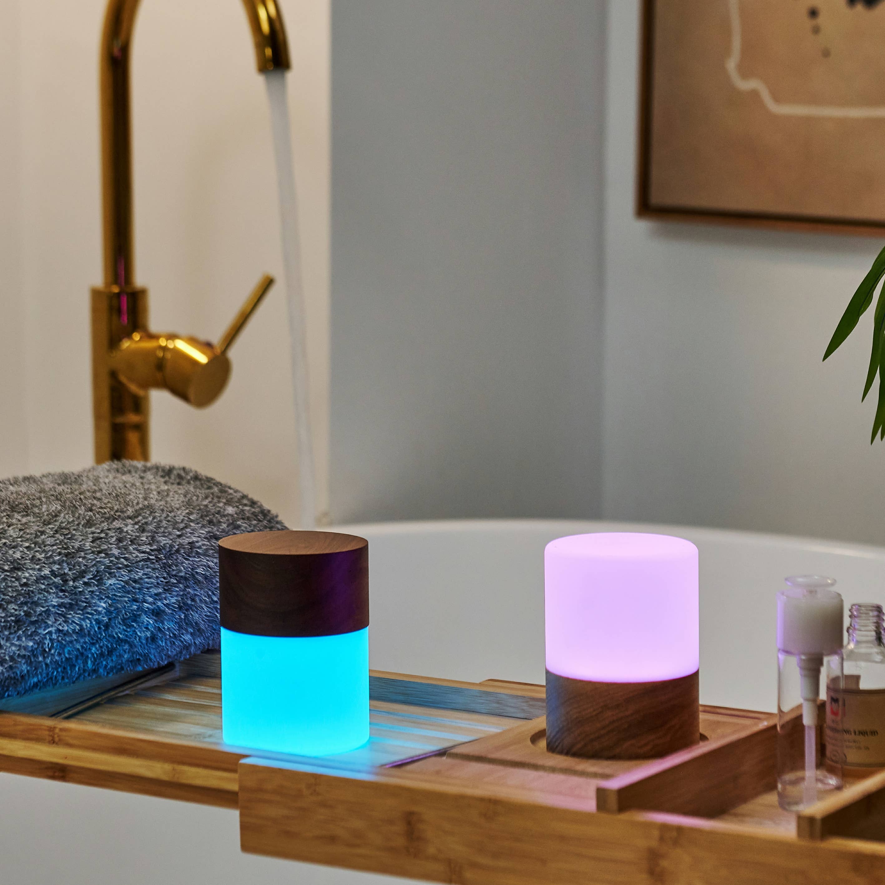 Gingko Design - Wholesale Accent/Desk Lamp - Lemelia Light10