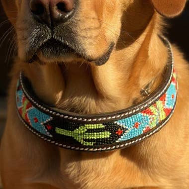 Collar de perro de cuero acolchado épico con diseño de cactus con cuentas #B para venta al por mayor de Smart Horse Gear