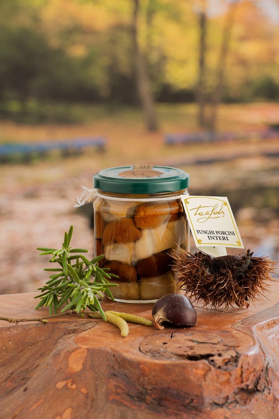 ANTICO PASTIFICIO TEALDI SRL (Tealdi) – Großhandel Getrocknetes/dehydriertes Gemüse – Steinpilze Ganz Olivenöl 200g0