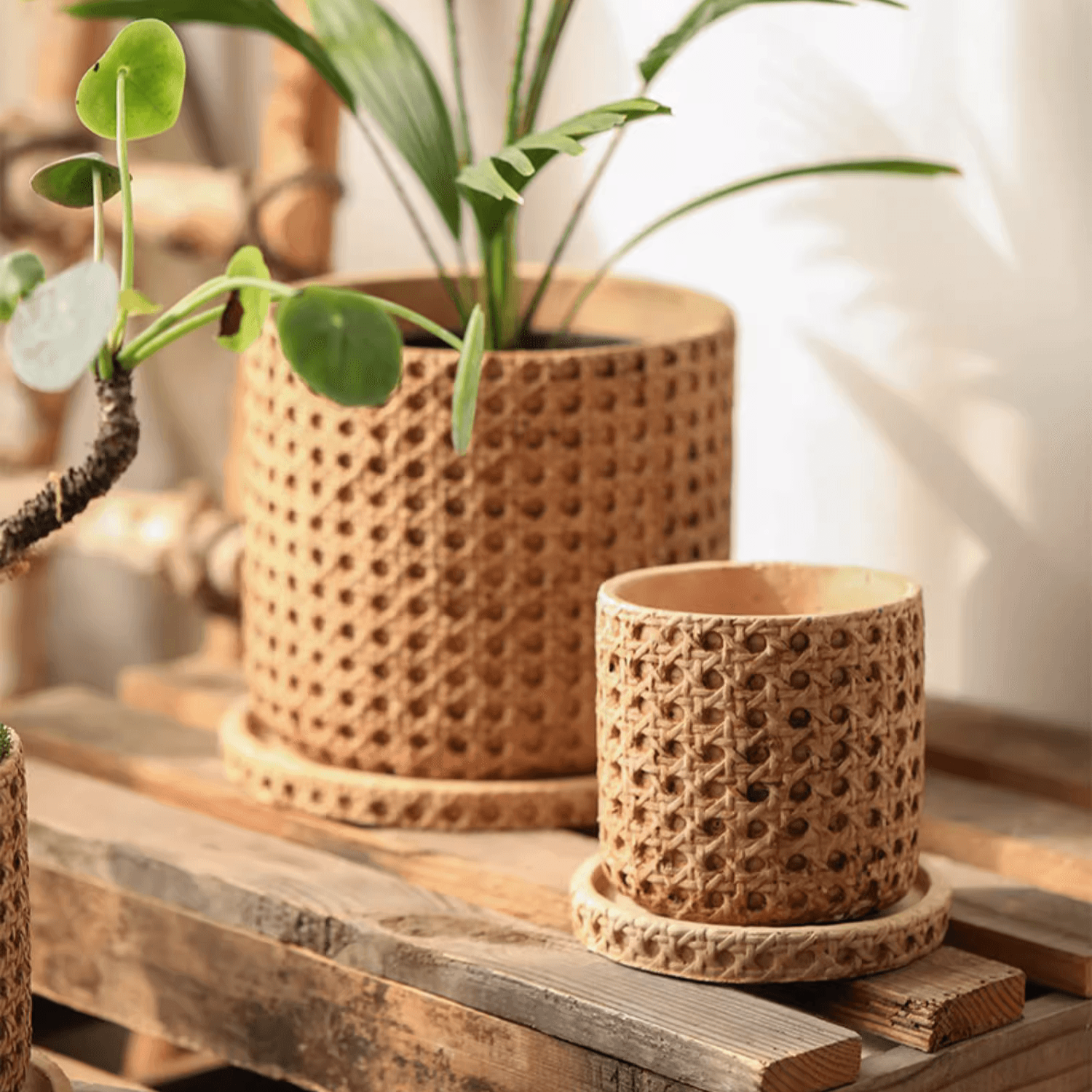 Rustic Reach - Vente Pot - Pot à ciment en fausse grille tissée7