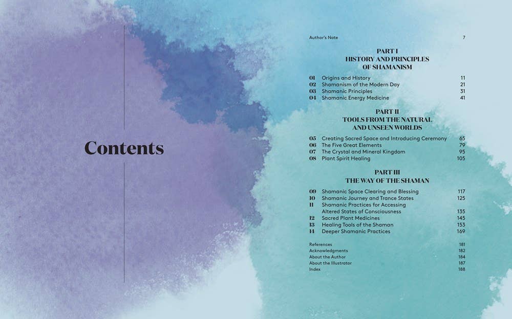 Texas Bookman - Wholesale Body, Mind & Spirit Book - The Ultimate Guide To Shamanism1