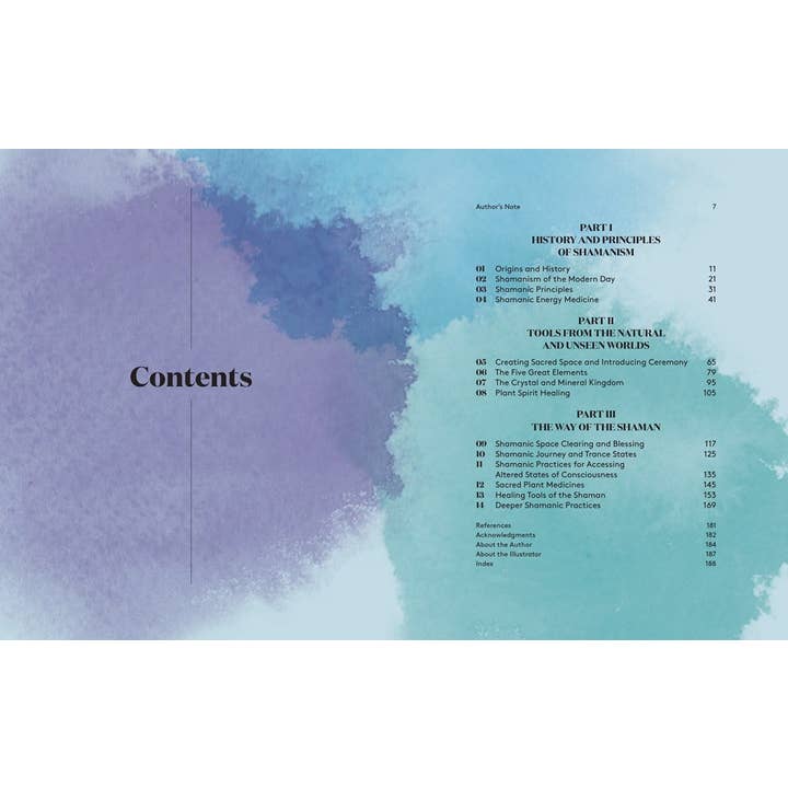 Texas Bookman - Wholesale Body, Mind & Spirit Book - The Ultimate Guide To Shamanism1